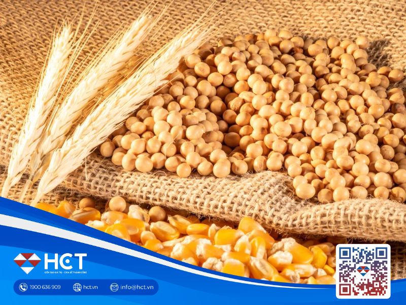 Nông sản 16/06: Lúa mì cải thiện chất lượng, đậu tương chịu áp lực, ngô được hỗ trợ