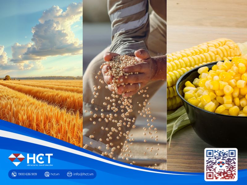 Nông sản 17/06: Đậu tương tăng điểm nhờ tín hiệu từ Trung Quốc, ngô và lúa mì lập đáy mới