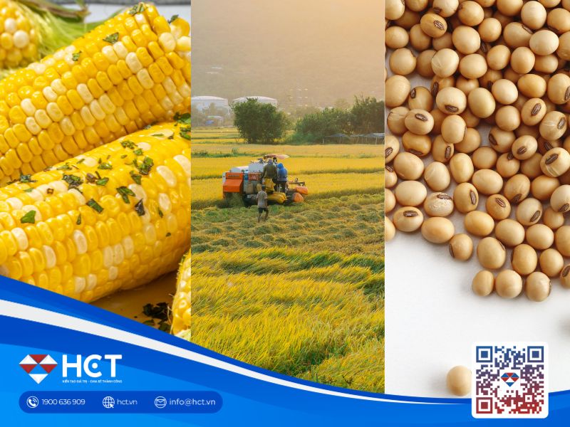 Nông sản 18/06: Đậu tương đứt chuỗi tăng do áp lực thời tiết, ngô đi ngang quanh đáy 9 tháng