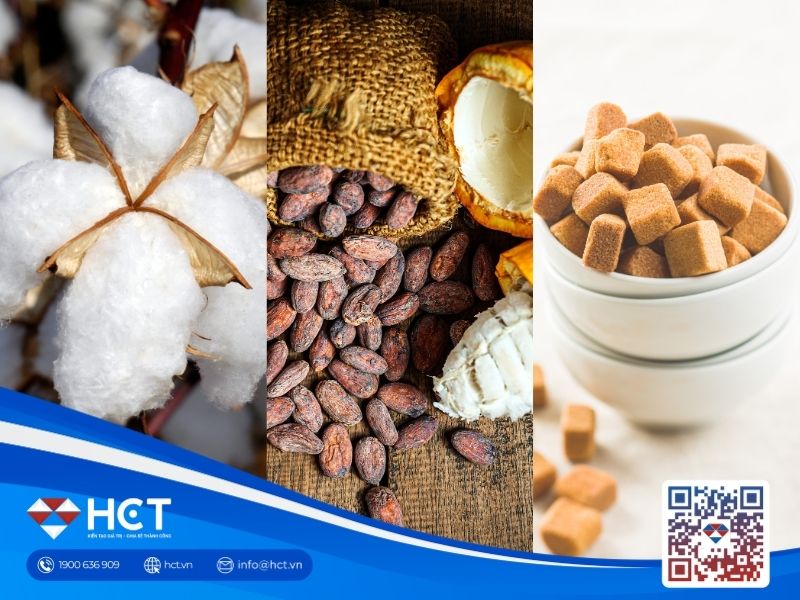 Nguyên liệu 19/6: Bông Mỹ gặp khó vì Fed, Ca cao khởi sắc, Đường thô giằng co
