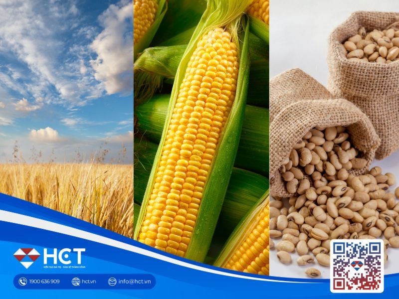 Nông sản 23/06: Áp lực nguồn cung dồi dào đè nặng, giá nông sản đồng loạt giảm điểm