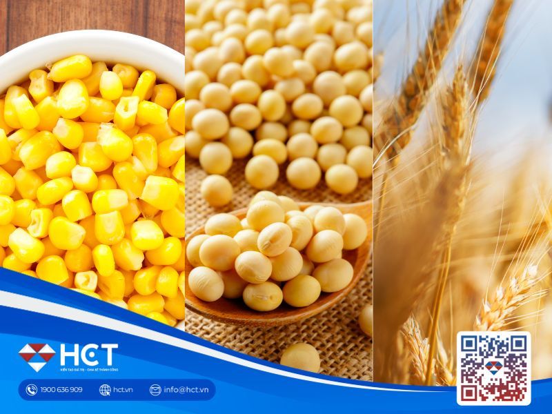 Nông sản 25/06: Lúa mì ngược dòng tăng điểm do rủi ro thời tiết, ngô và đậu tương tiếp tục suy yếu