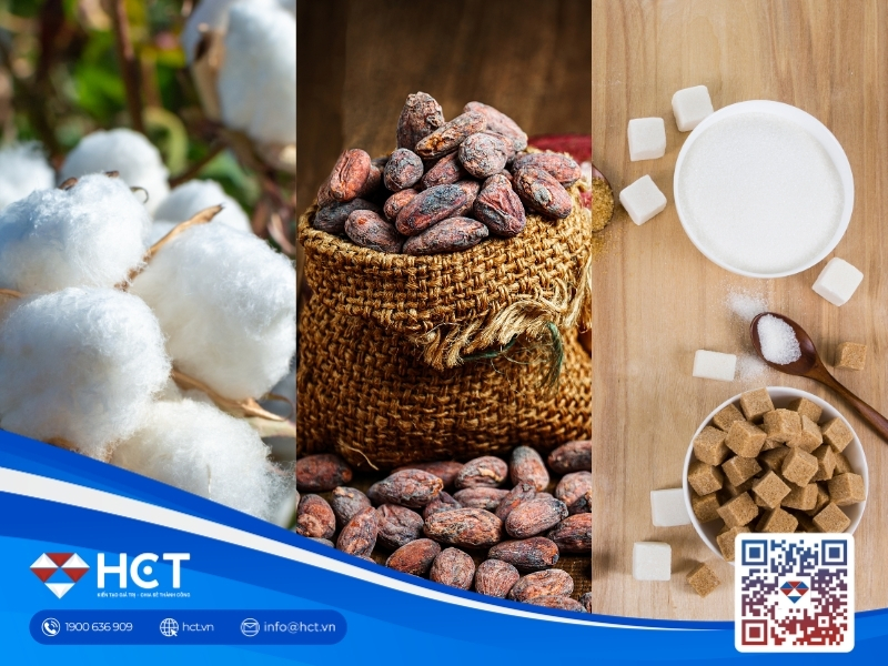Nguyên liệu 29/6: Giá Bông chịu sức ép từ giá dầu, Ca cao giằng co, Đường lo rủi ro cung ứng