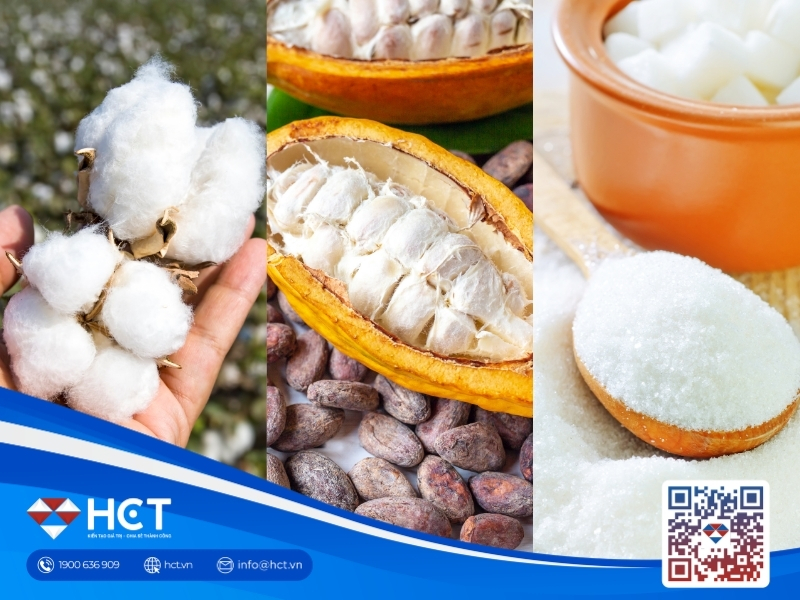 Nguyên liệu 2/7: Giá Bông hưởng lợi từ nông sản, Ca cao và Đường lo ngại hạn hán kỷ lục