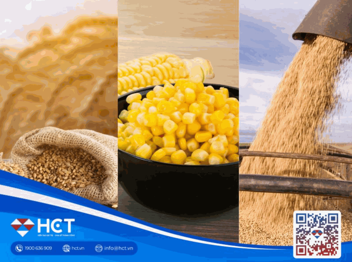Nông sản 06/07: USDA cập nhật số liệu mùa vụ, Brazil phân bổ gói tài trợ nông nghiệp