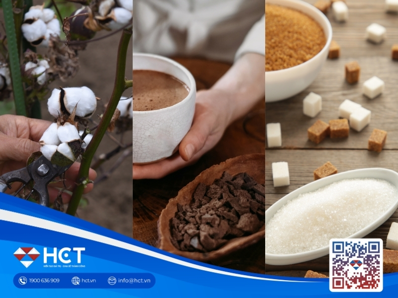 Nguyên liệu 6/7: Ca cao và Đường thô tìm bệ đỡ từ thiên tai, sàn Bông chuyển dịch tâm điểm