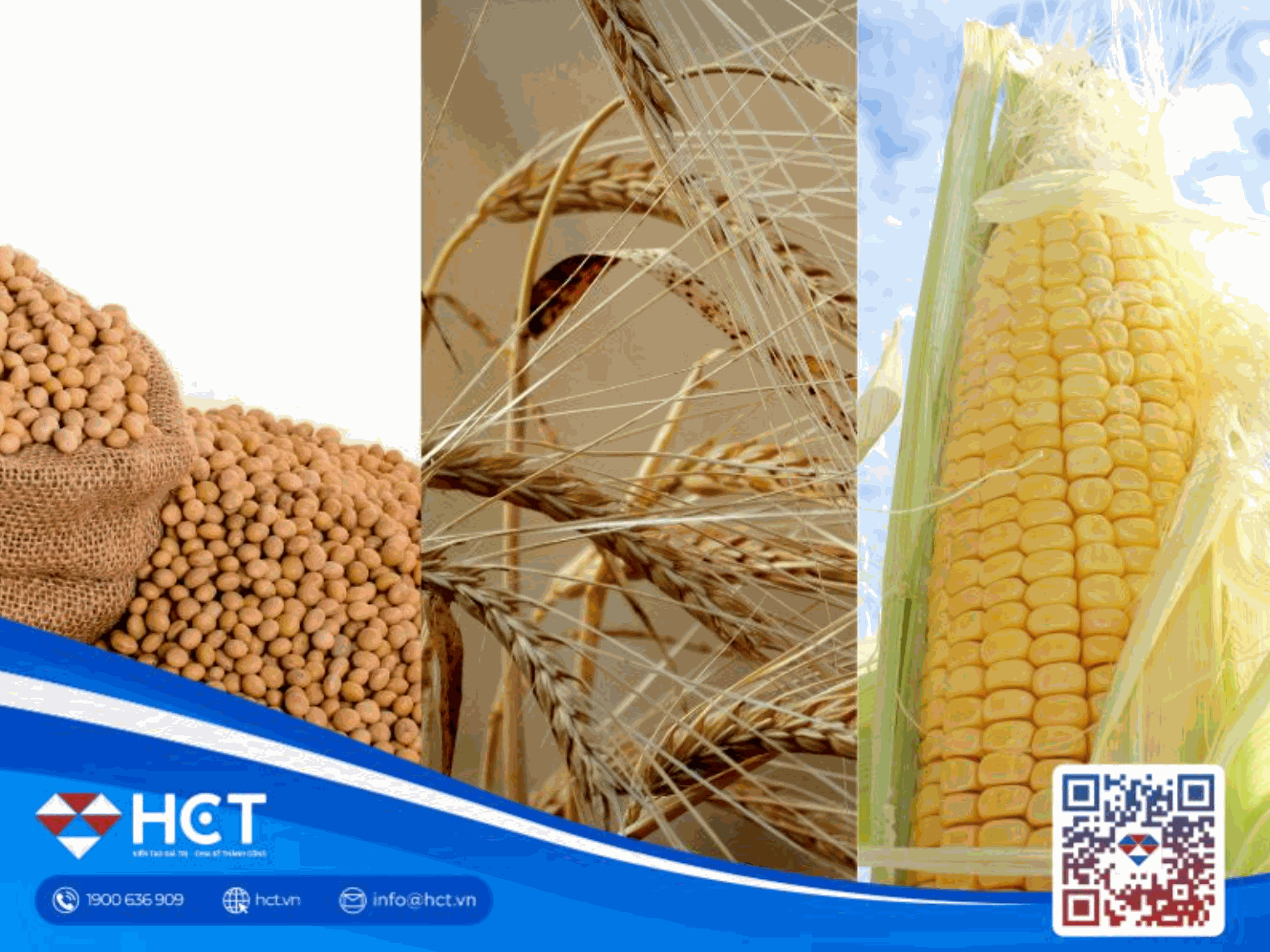 Thị trường nông sản: COFCO tăng mua đậu tương Mỹ, lúa mì Pháp giảm sản lượng, chất lượng ngô Pháp lao dốc