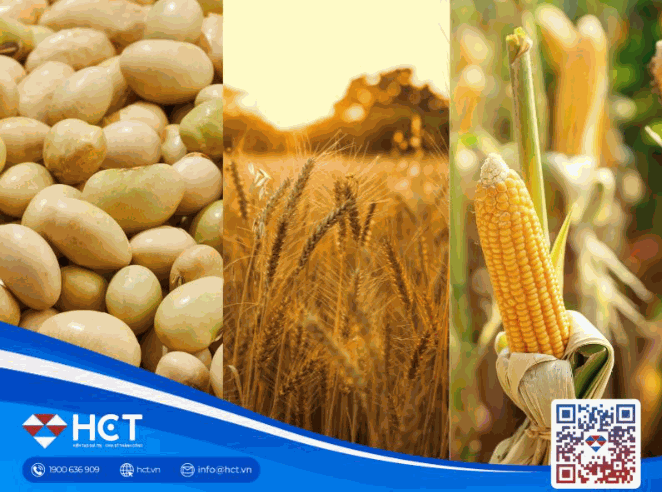 Nông sản 09/07: Lúa mì hưởng lợi từ thời tiết, đậu tương và ngô chờ dữ liệu từ USDA