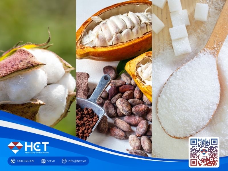 Nguyên liệu 14/7: Báo cáo WASDE gây áp lực lên sàn Đường, giá Bông và Ca cao đón sóng thời tiết