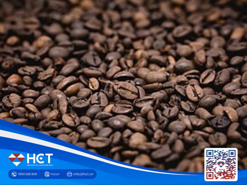 Giá cà phê 15/7: Thời tiết Brazil thuận lợi cho thu hoạch, El Niño tiếp tục đe dọa nguồn cung Robusta