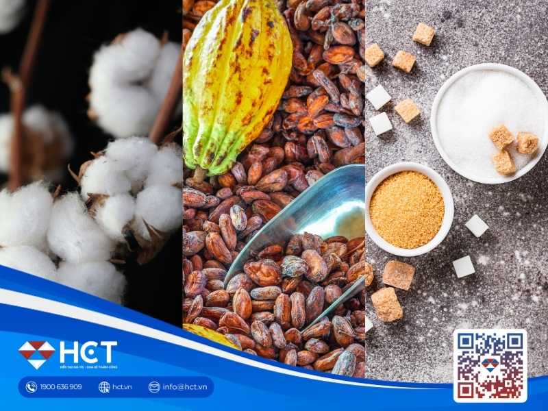 Nguyên liệu 16/7: Bông Brazil tăng dự báo sản lượng, Đường thô đi ngang, Ca cao vơi bớt lo ngại