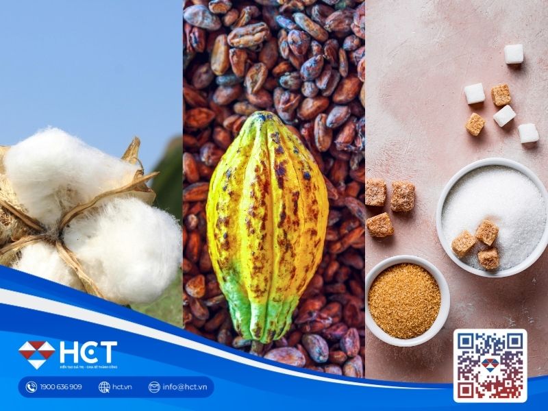 Nguyên liệu 17/7: Ca cao châu Âu chạm đáy 6 năm, Đường thô chờ tin Brazil, Bông Mỹ giữ giá