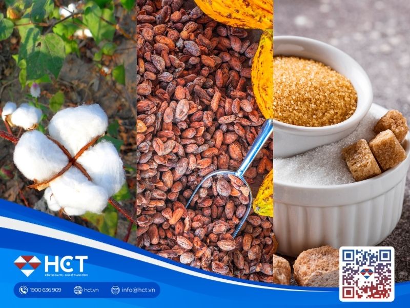 Nguyên liệu 20/7: Bông Mỹ lo ngại sức mua dệt may, Ca cao châu Á bứt phá, Đường chờ tin nhập khẩu