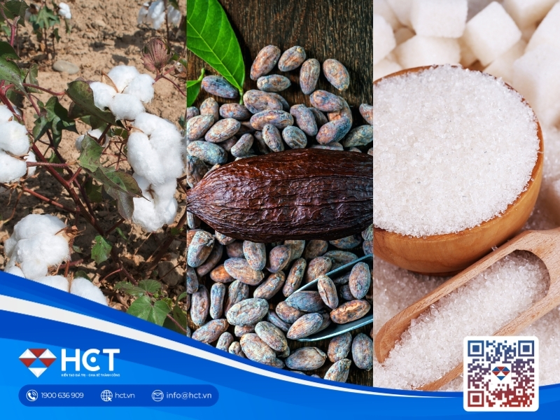 Nguyên liệu 23/7: Sắc xanh bao phủ sàn Bông, Ca cao và Đường thô giằng co cung – cầu