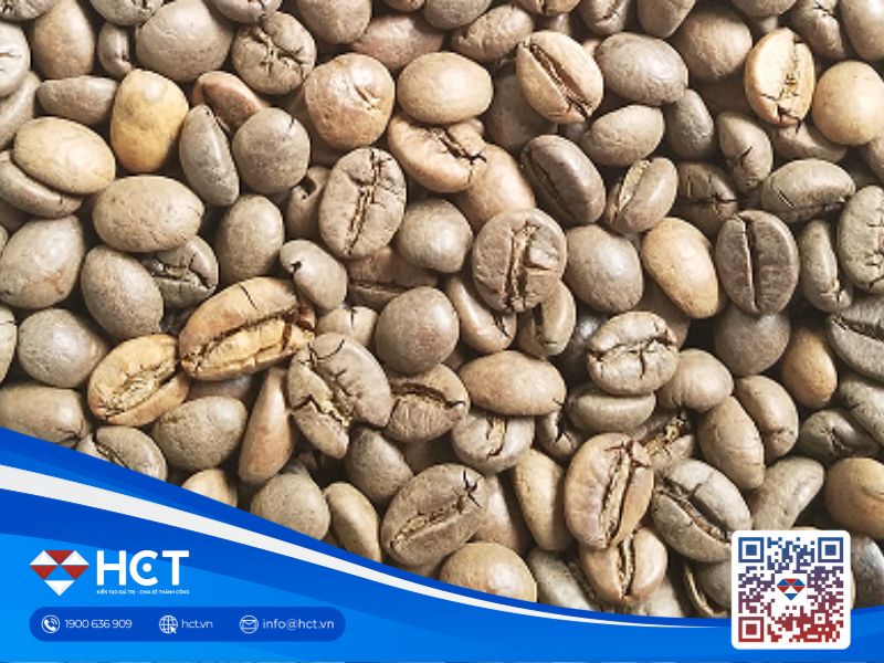 Giá cà phê 24/07: Thu hoạch Robusta Indonesia bước vào giai đoạn cuối, thị trường theo dõi nguồn cung từ Brazil