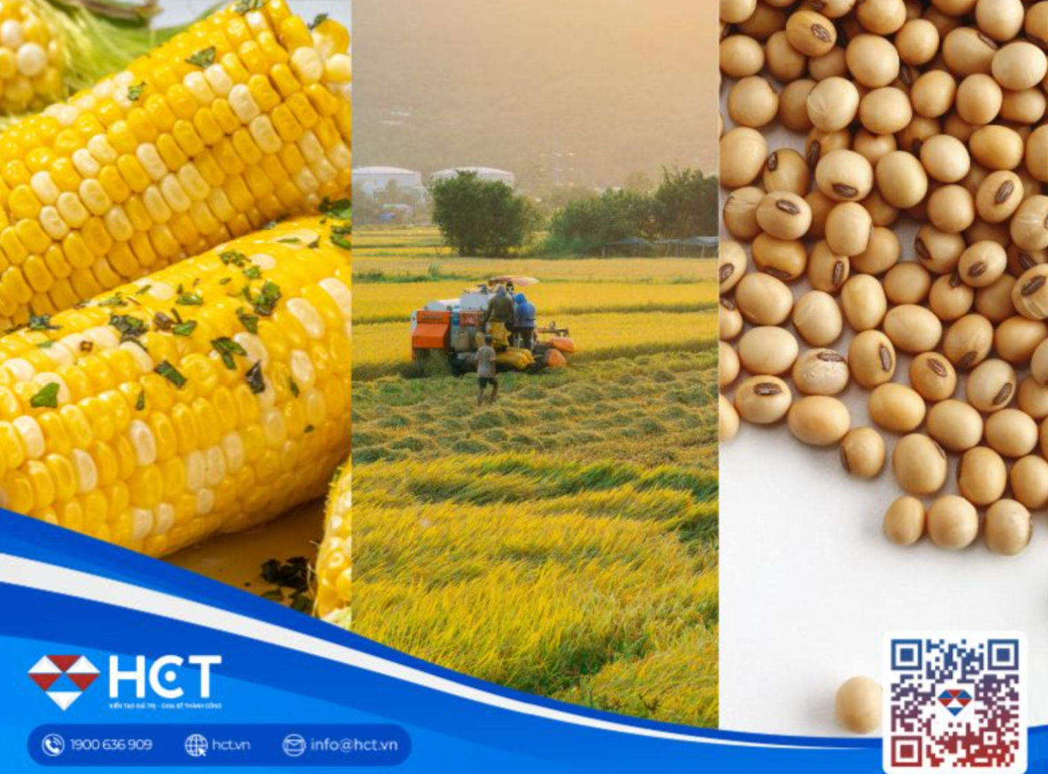 Giá ngũ cốc CBOT biến động khi thị trường theo dõi xuất khẩu và căng thẳng địa chính trị