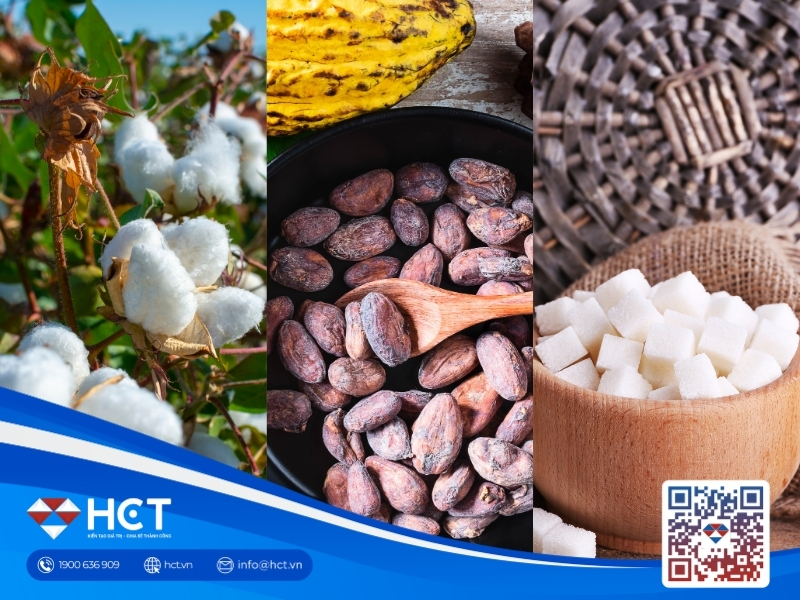 Nguyên liệu 4/8: Giá dầu giảm gây áp lực cho Bông, Ca cao tăng cung, Đường thặng dư thu hẹp