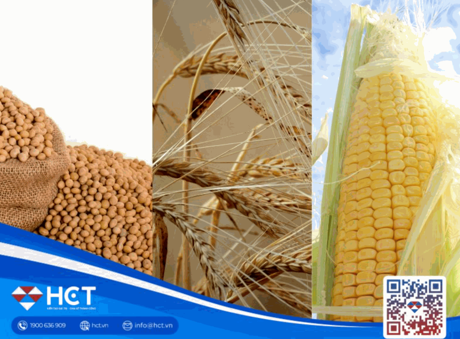 Giá nông sản CBOT: Lúa mì, đậu tương và ngô chịu tác động từ xuất khẩu, mùa vụ