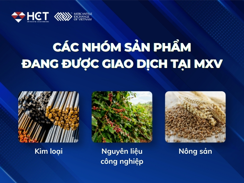 Các nhóm sản phẩm đang được giao dịch tại MXV Các nhóm sản phẩm đang được giao dịch tại MXV