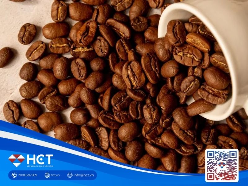 thị trường cà phê thế giới 31/08/2026