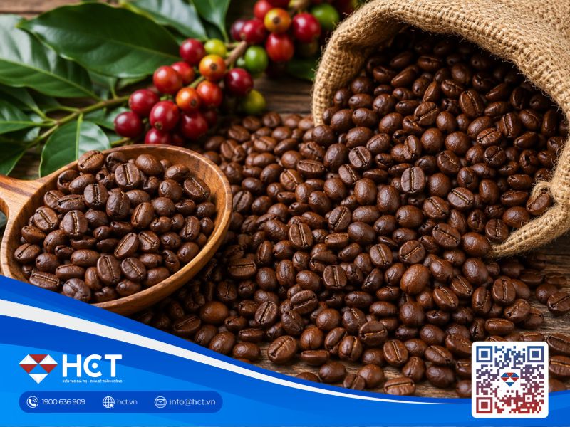 Giá cà phê 03/09: Thị trường cà phê chịu áp lực khi Brazil tăng xuất khẩu, vụ thu hoạch sắp kết thúc