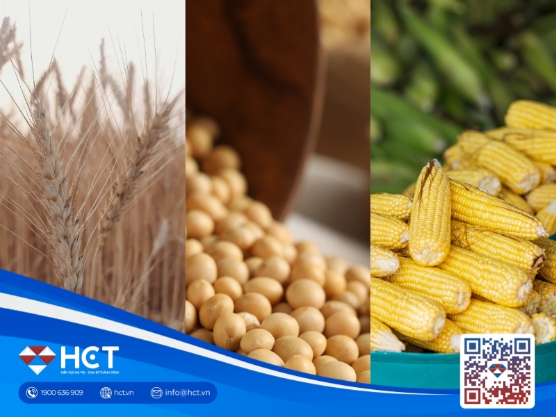 Nông sản 14/9: USDA hạ dự báo tồn kho Ngô, Đậu tương và Lúa mì phân hóa