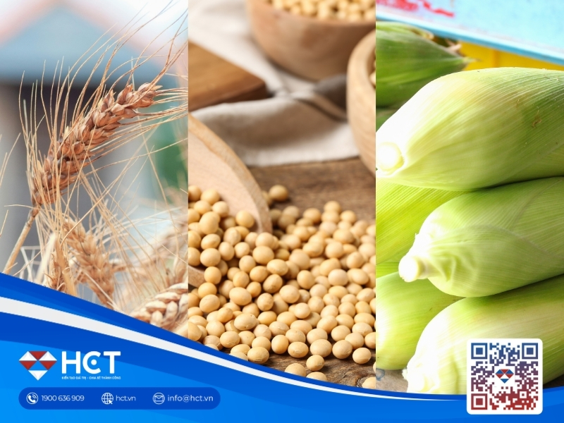 Nông sản 15/9: Mưa lớn đe dọa thu hoạch đậu tương, ngô và lúa mì tăng sản lượng