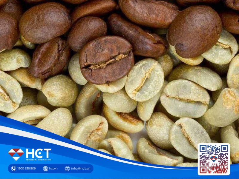 Giá cà phê 25/09: Sản lượng cà phê Brazil lập kỷ lục, Robusta chịu sức ép