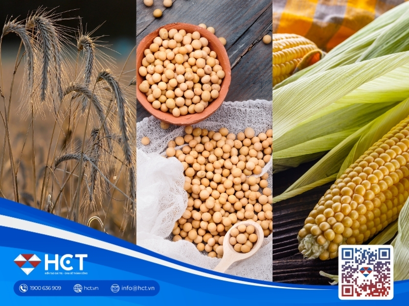 Nông sản 29/9: Trung Quốc giảm thuế ngô Mỹ nhưng giữ thuế đậu tương, lúa mì chờ tin Biển Đen