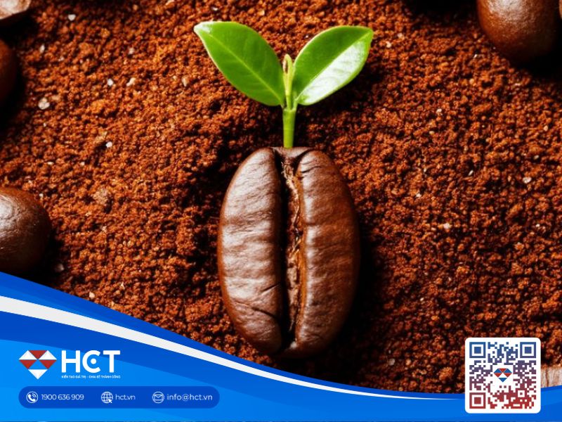 Giá cà phê 29/09: Sản lượng cà phê năm 2026 lập kỷ lục, nguồn cung dần cải thiện