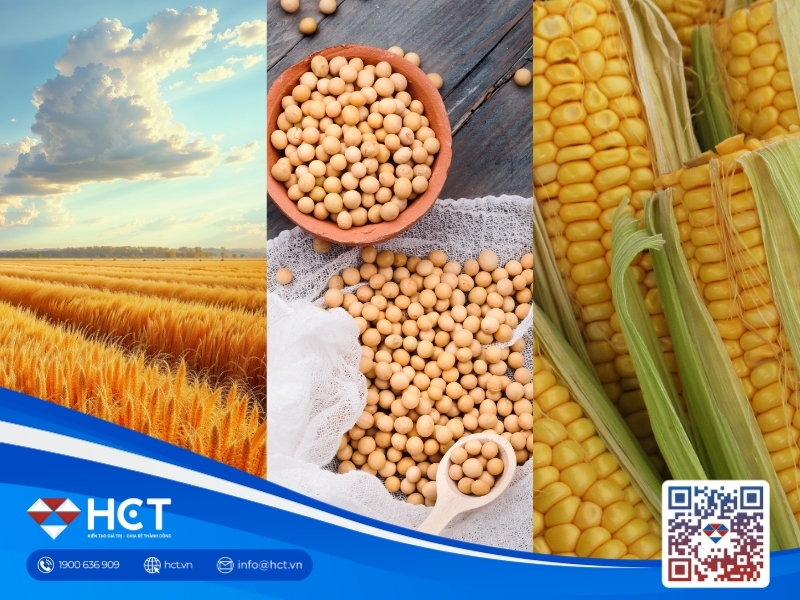 Nông sản 2/10: Đậu tương bứt phá xuất khẩu, lúa mì ngóng đấu thầu, ngô Mỹ suy yếu