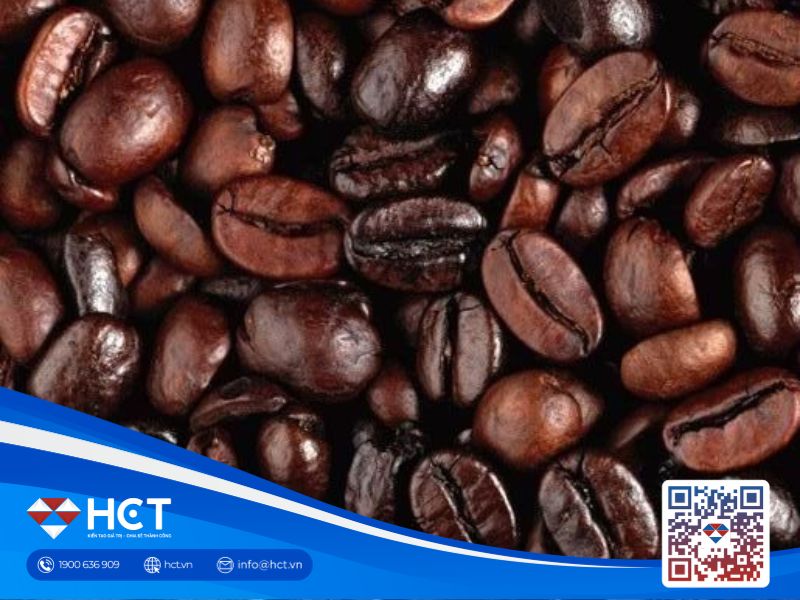 Giá cà phê Arabica ngày 09/10 chịu áp lực khi xuất khẩu Brazil tăng mạnh, El Niño hỗ trợ giá