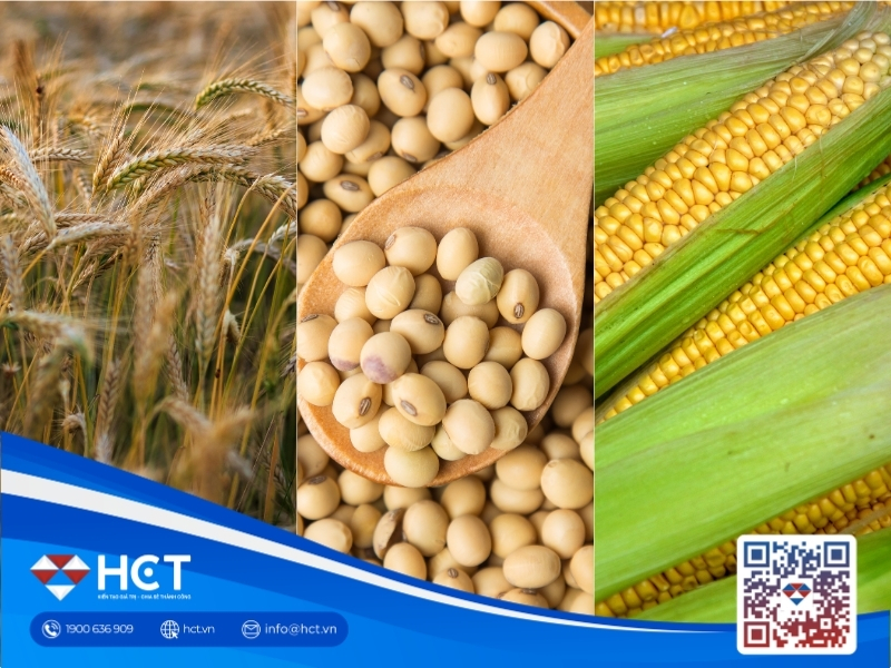 Đậu tương Mỹ bứt phá 81% cam kết xuất khẩu, ngô và lúa mì chịu áp lực thu hoạch