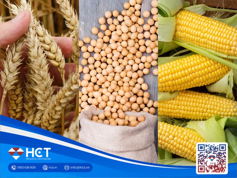 Xuất khẩu lúa mì tăng mạnh, đậu tương giữ đà bán hàng, nhu cầu ngô suy yếu